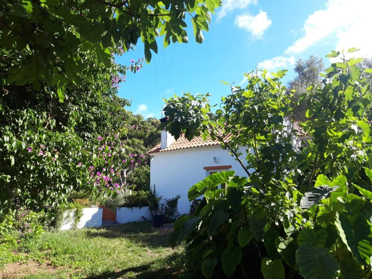 Quinta Algarve Das Relvinhas Monchique Dış mekan fotoğraf