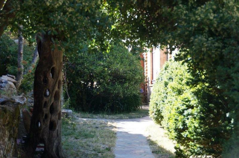 Quinta Algarve Das Relvinhas Monchique Dış mekan fotoğraf